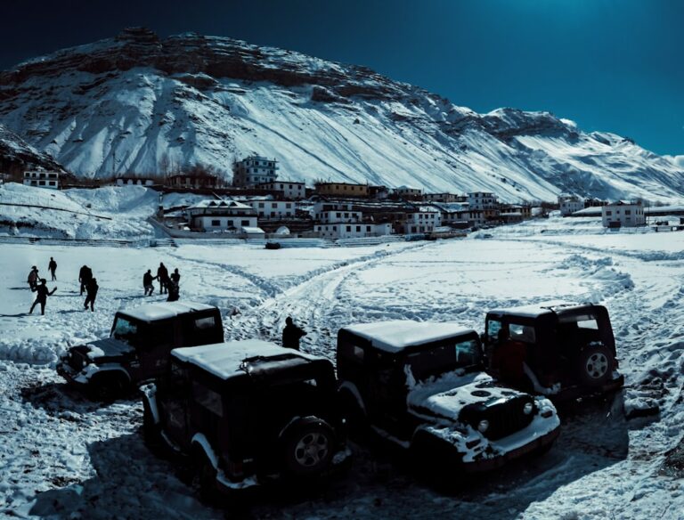 Your Ultimate Source for Mahindra Roxor Parts: Discover On The Rox